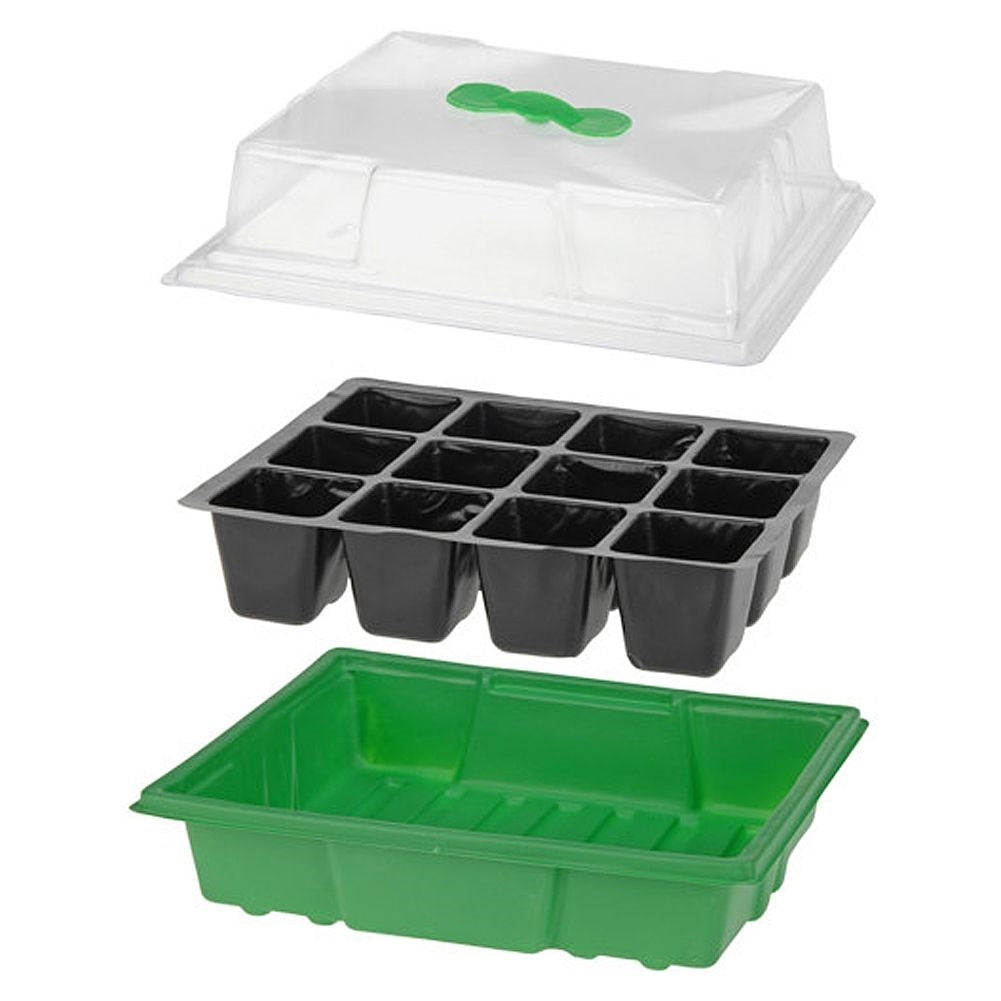 Mini Greenhouse: Optimal Sowing of Seeds for Vegetables & Fruits