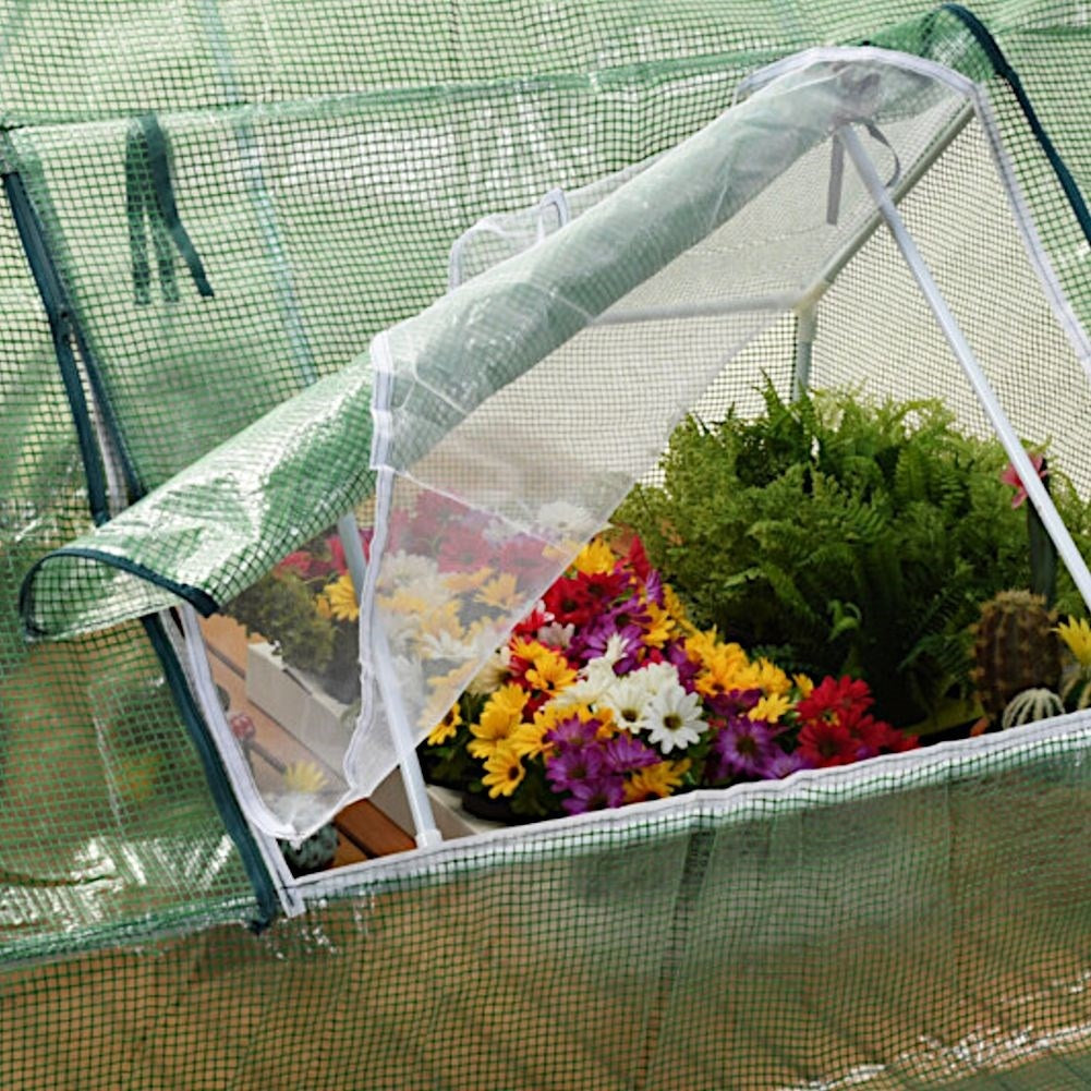 Mini Greenhouse for Herbs and Vegetables