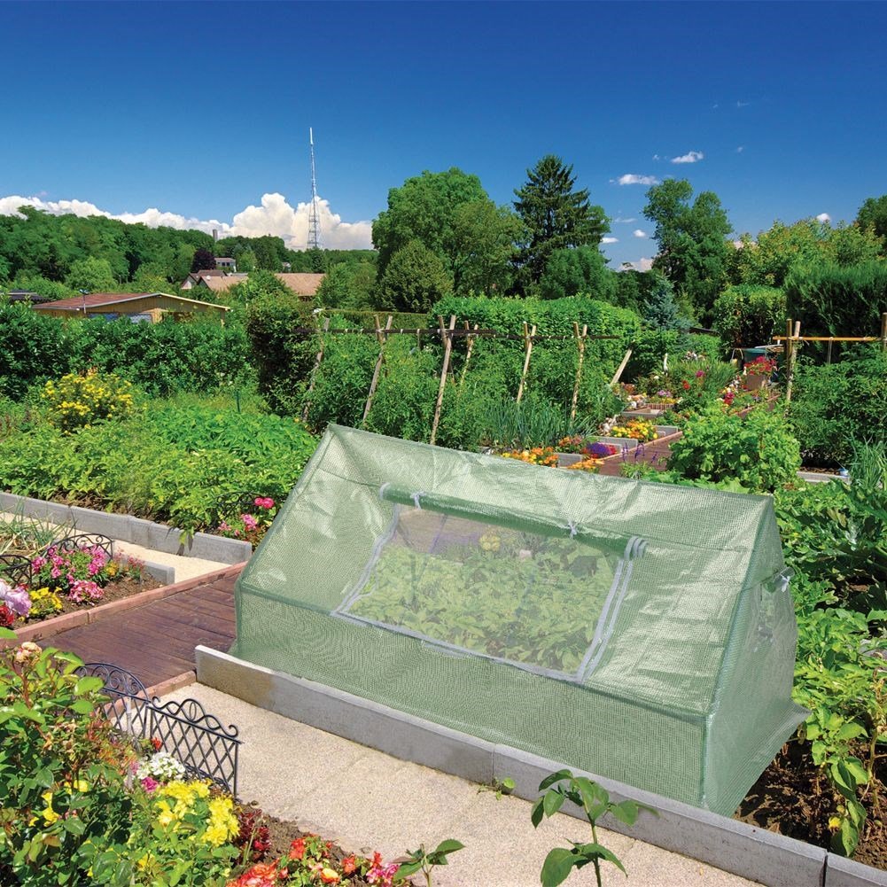 Mini Greenhouse for Herbs and Vegetables