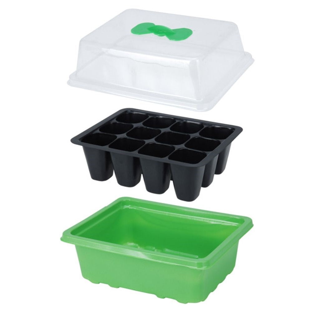 Mini greenhouse for optimal seed germination and plant growth