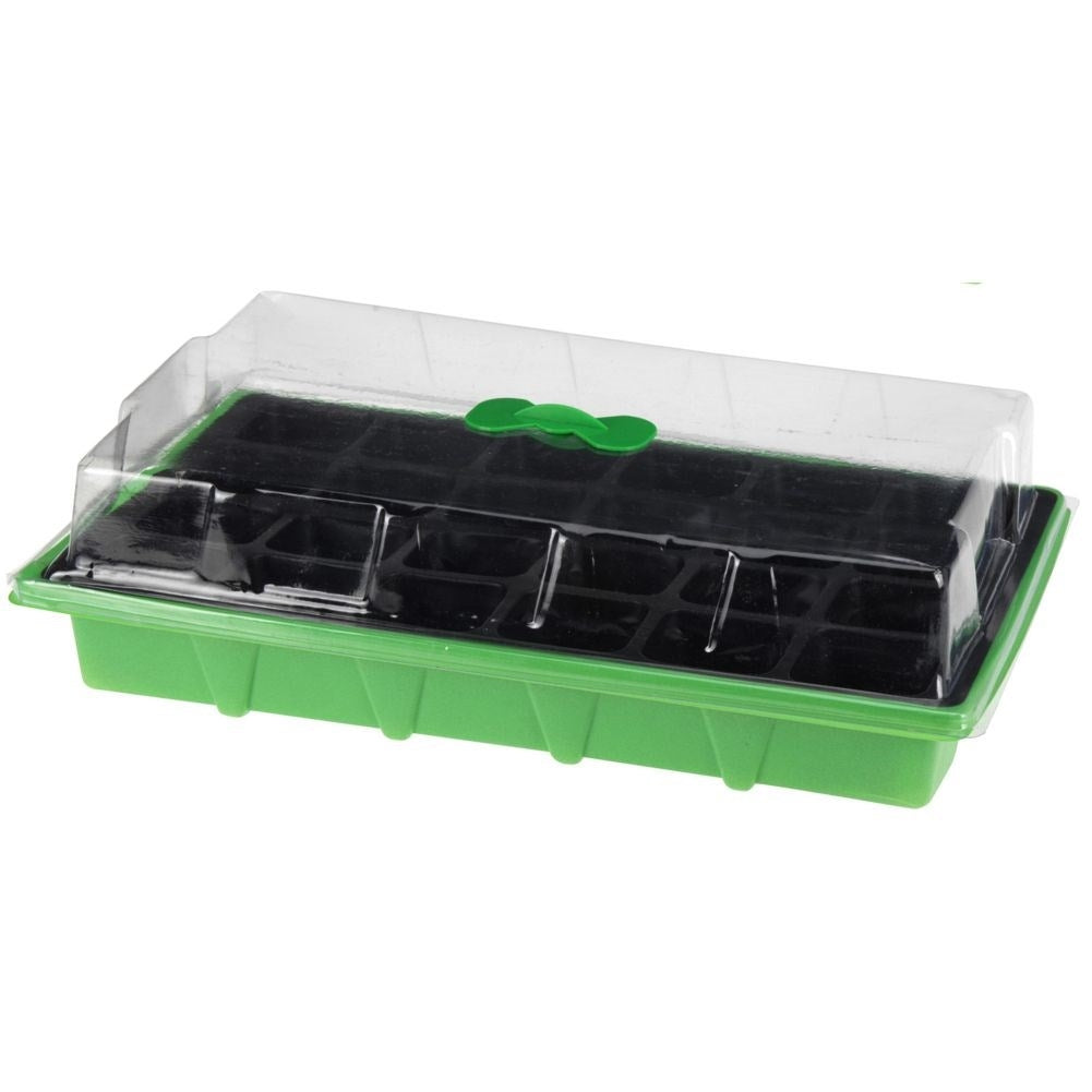 Mini greenhouse for seeds - optimal conditions for germination