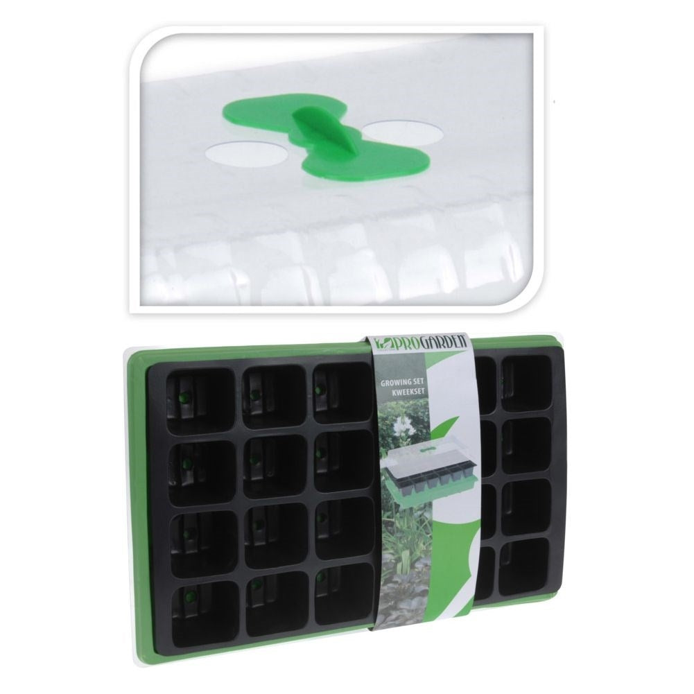 Mini greenhouse for seeds - optimal conditions for germination
