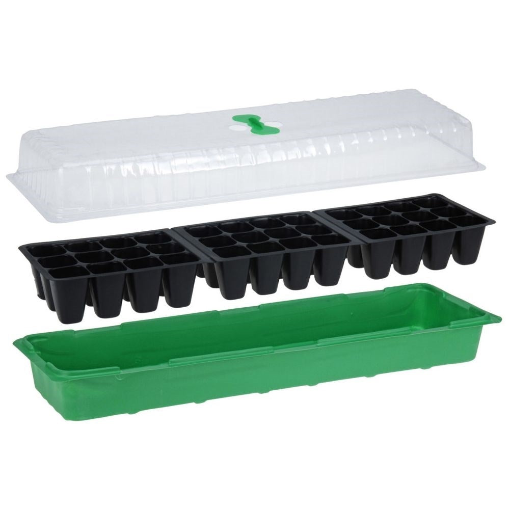 Mini greenhouse for sowing seeds - optimal germination and growth