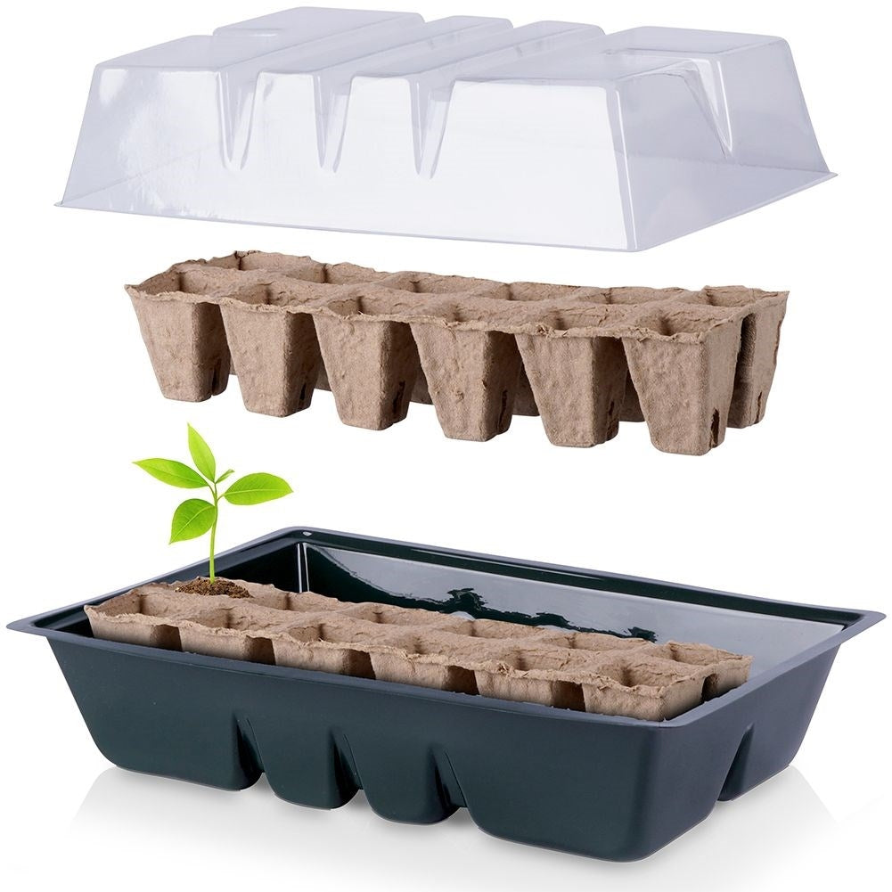 Mini greenhouses for seed sowing: Optimal conditions for seedlings