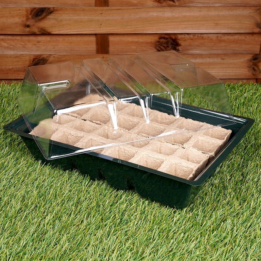Mini greenhouses for seed sowing: Optimal conditions for seedlings