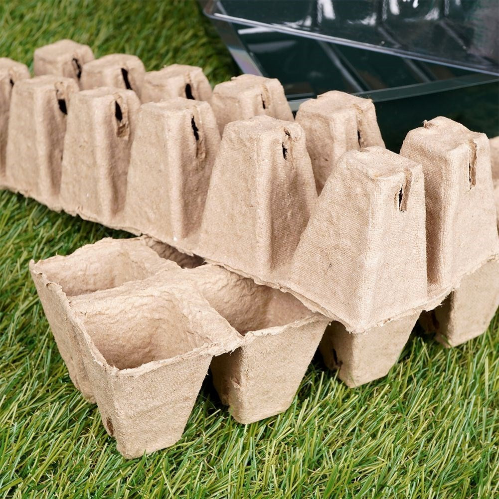 Mini greenhouses for seed sowing: Optimal conditions for seedlings