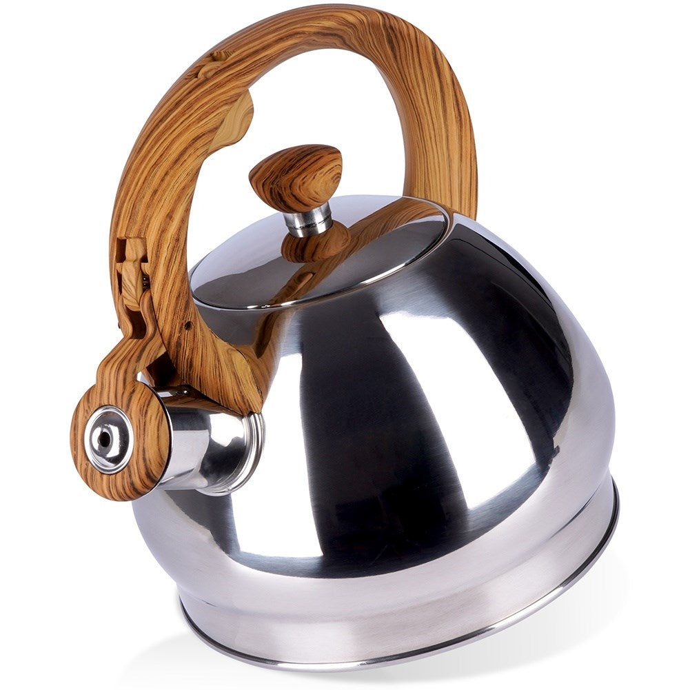 Modern Kettle in Stainless Steel with Whistle