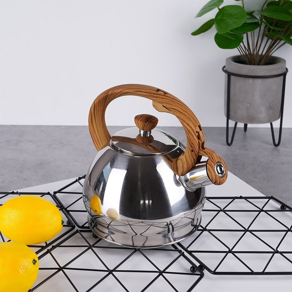 Modern Kettle in Stainless Steel with Whistle
