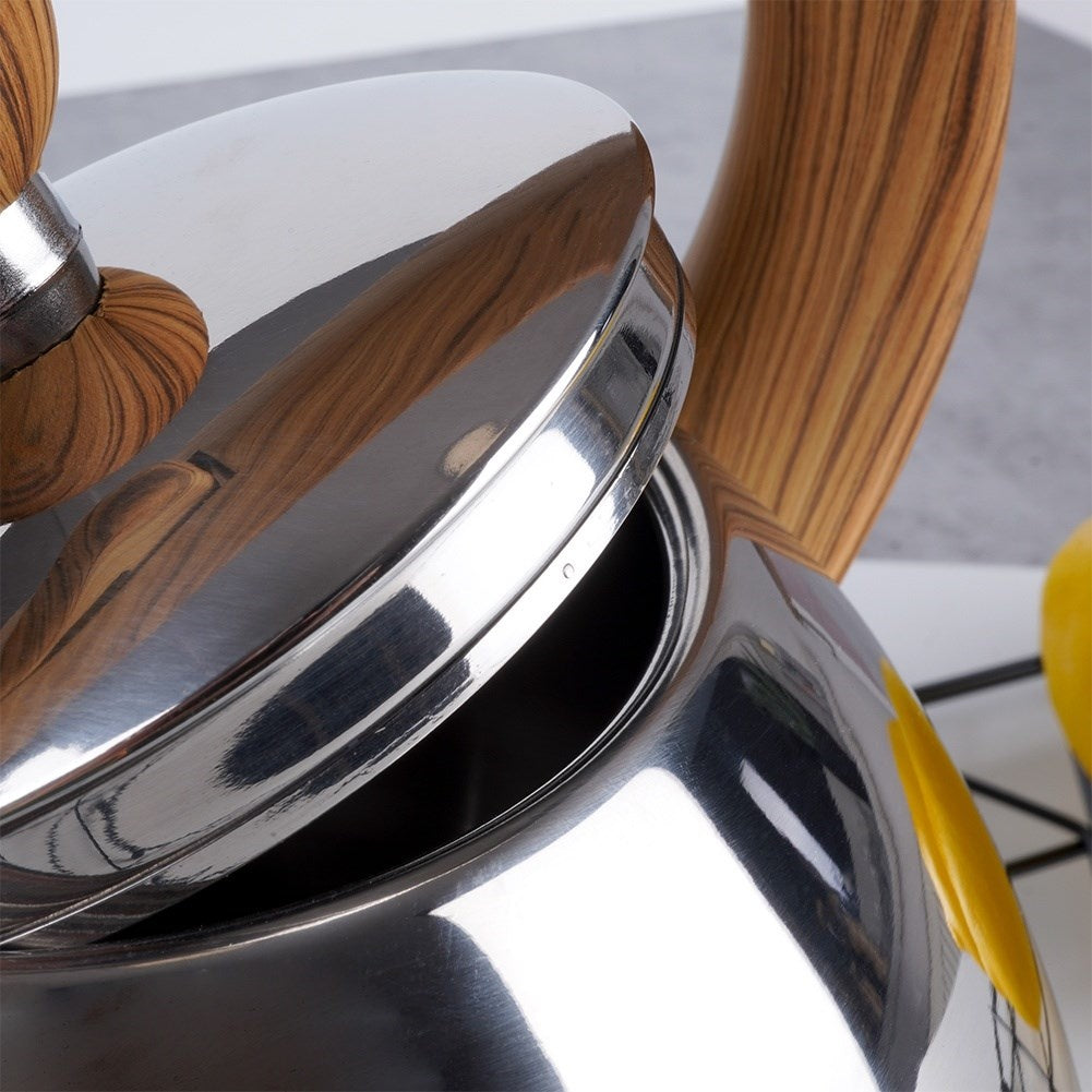 Modern Kettle in Stainless Steel with Whistle