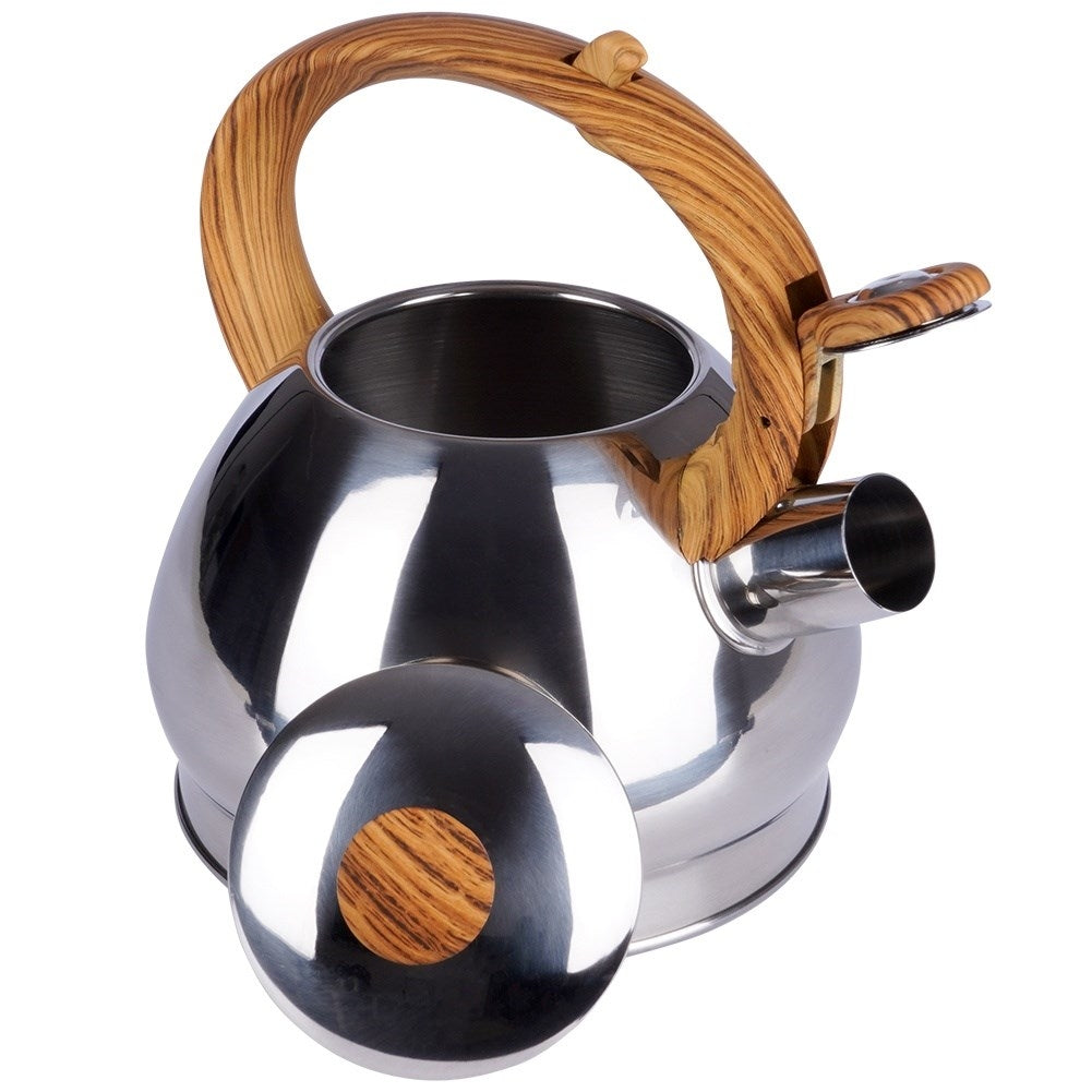 Modern Kettle in Stainless Steel with Whistle