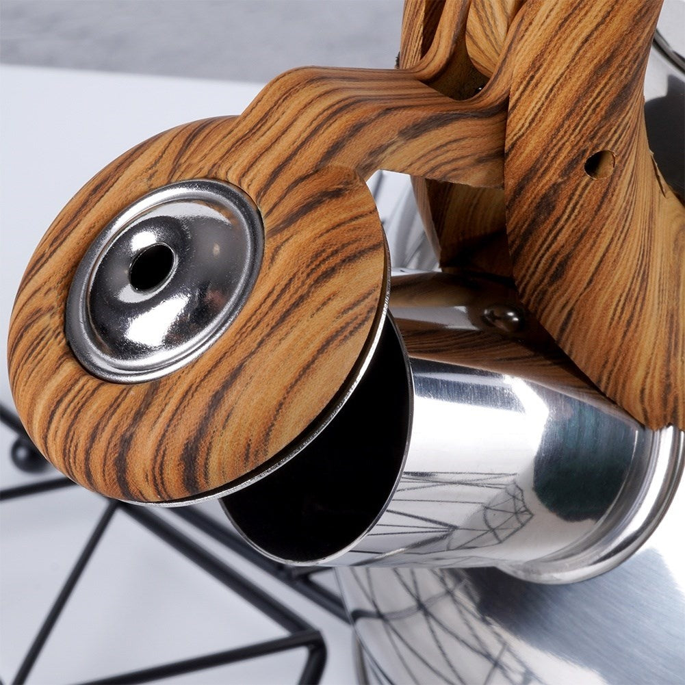 Modern Kettle in Stainless Steel with Whistle