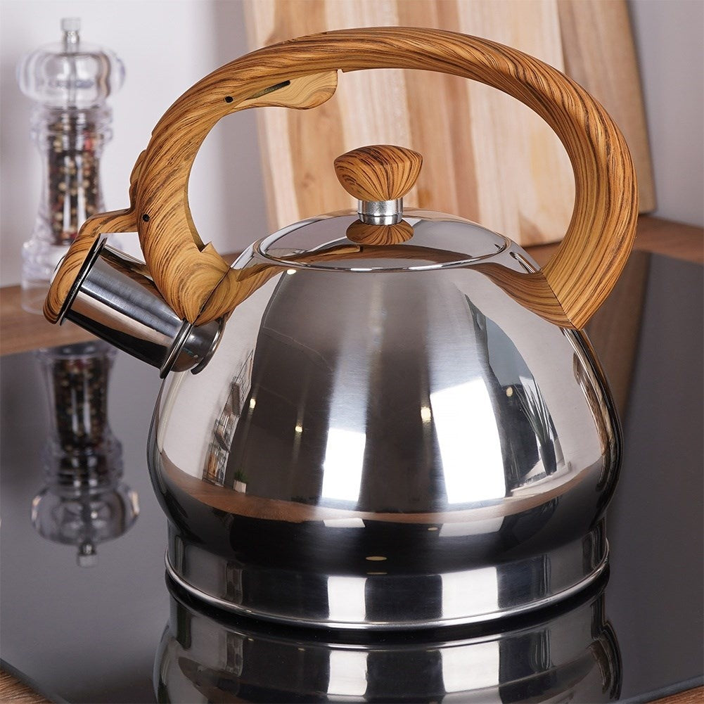 Modern Kettle in Stainless Steel with Whistle