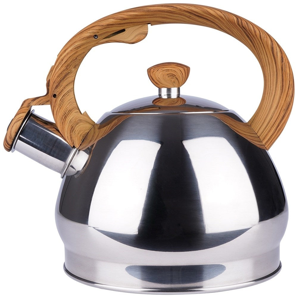 Modern Kettle in Stainless Steel with Whistle