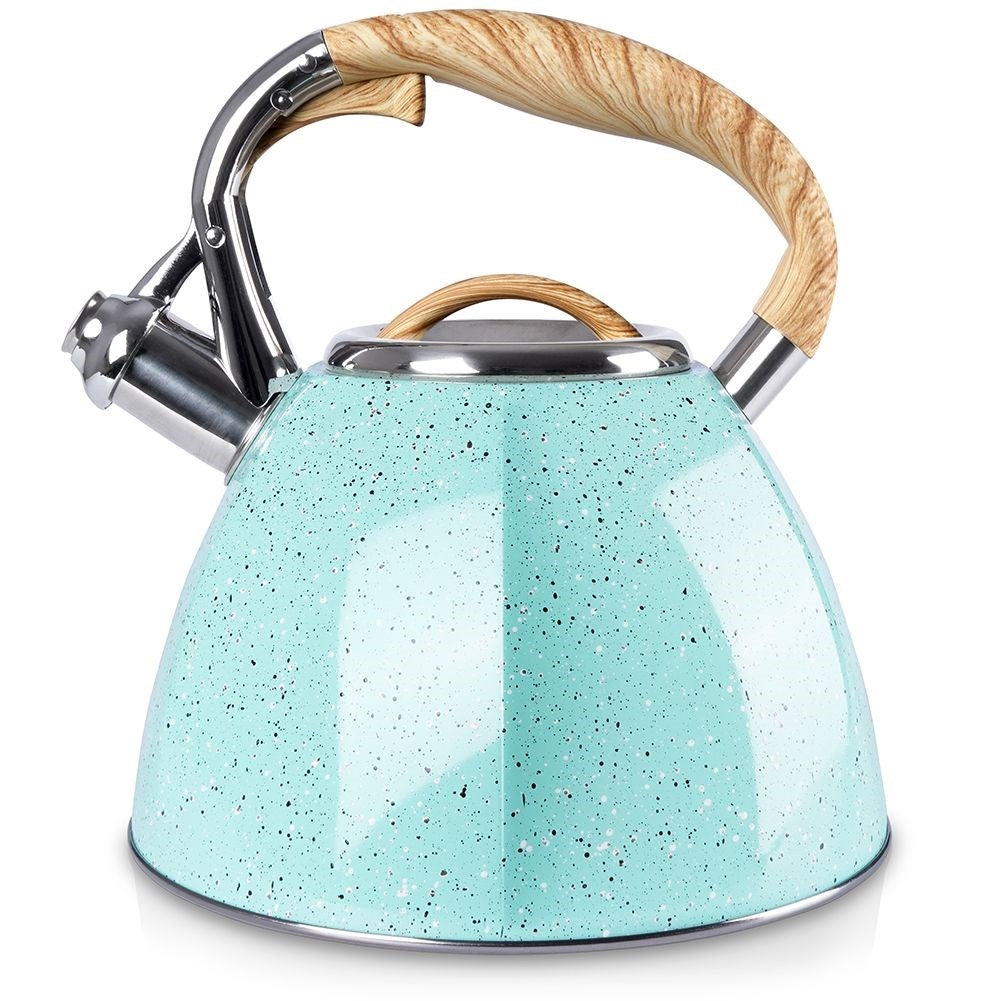 Modern Kettle with Automatic Whistle