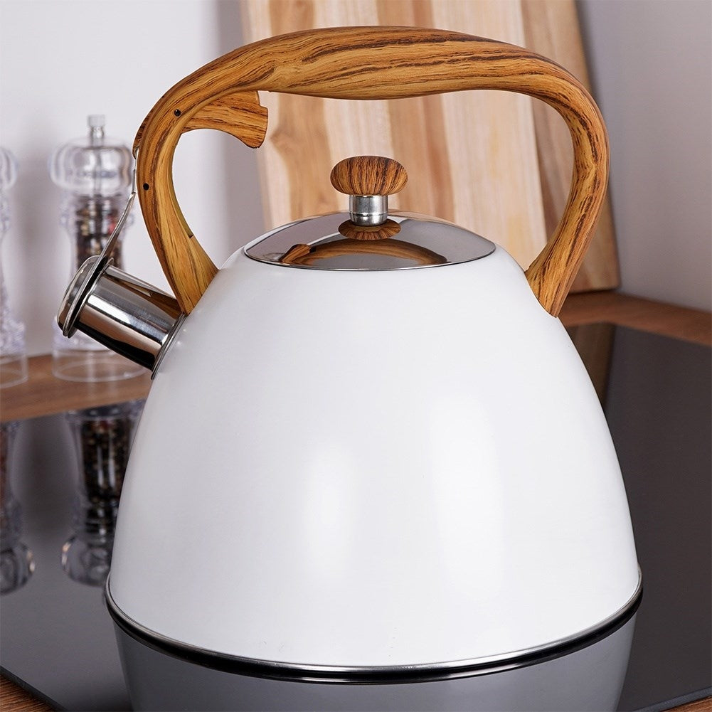 Modern Kettle with Automatic Whistle