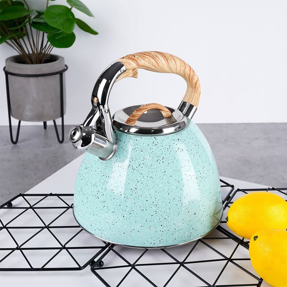 Modern Kettle with Automatic Whistle