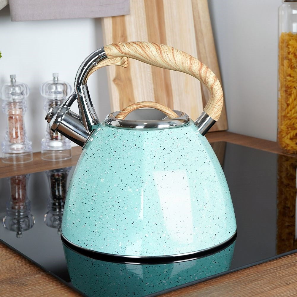 Modern Kettle with Automatic Whistle