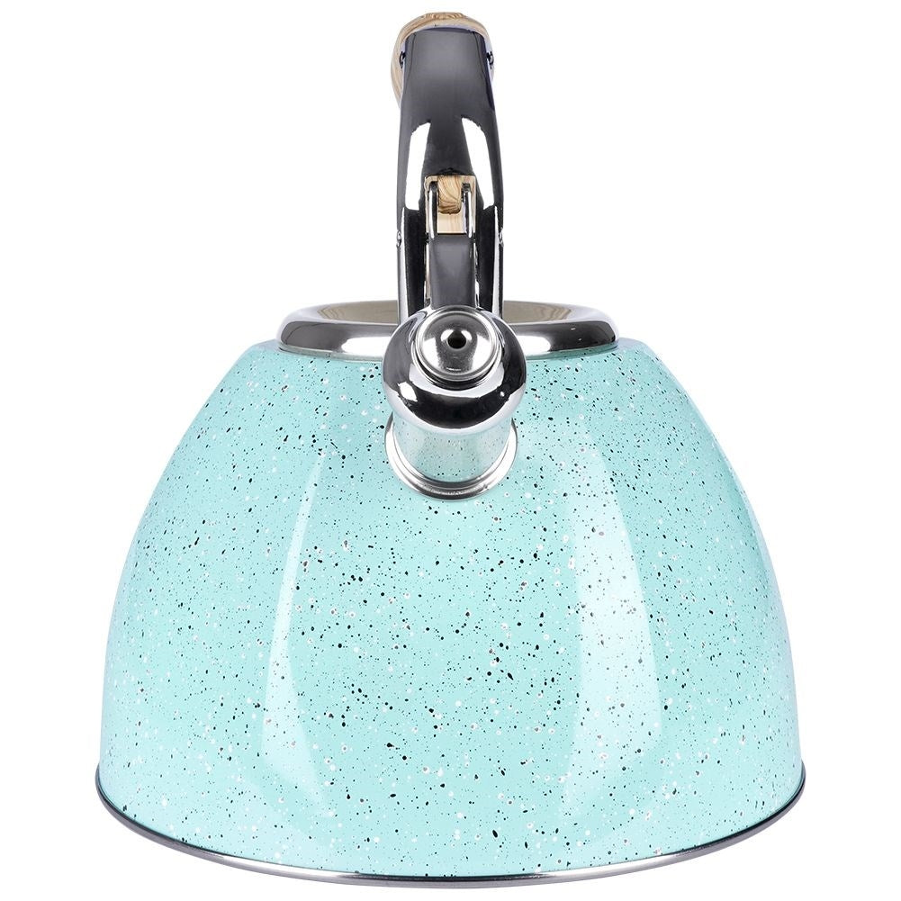 Modern Kettle with Automatic Whistle