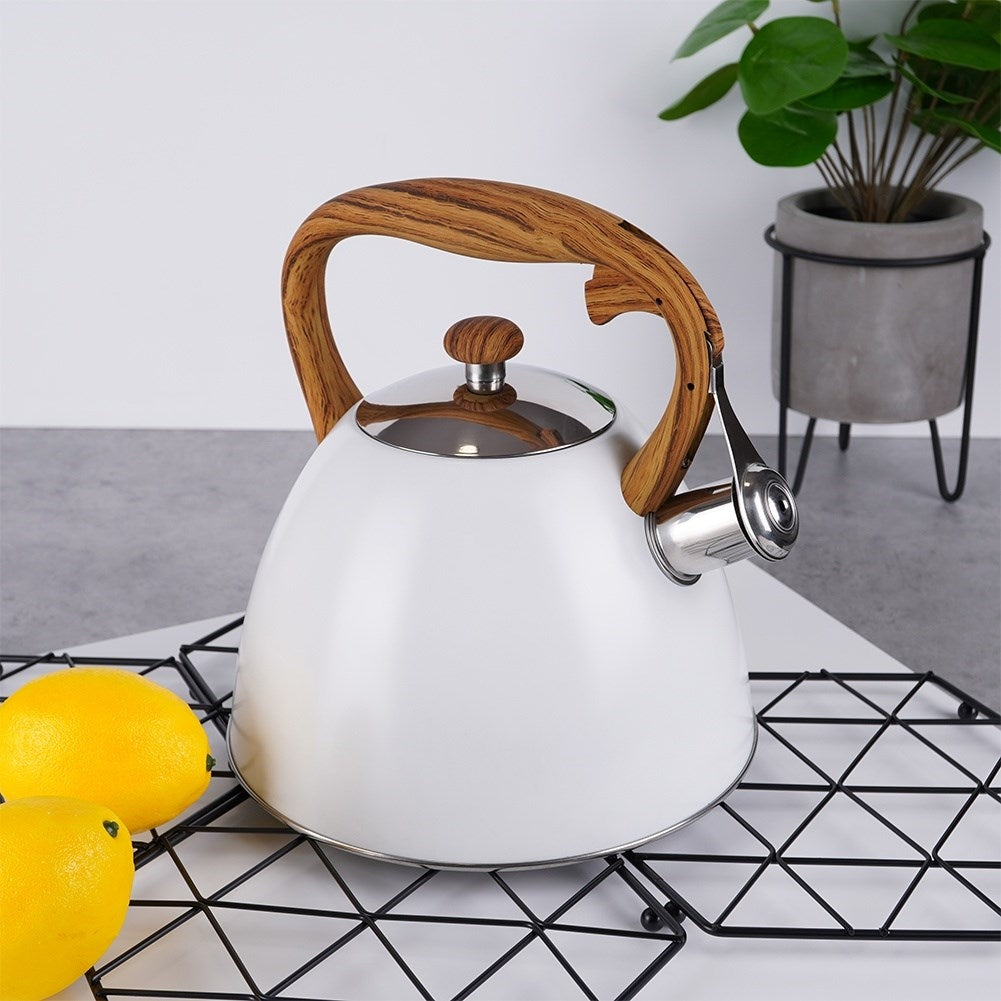 Modern Kettle with Automatic Whistle