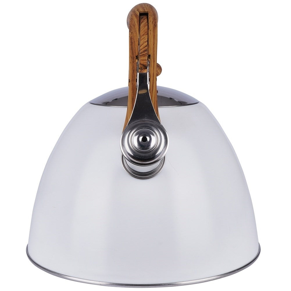 Modern Kettle with Automatic Whistle