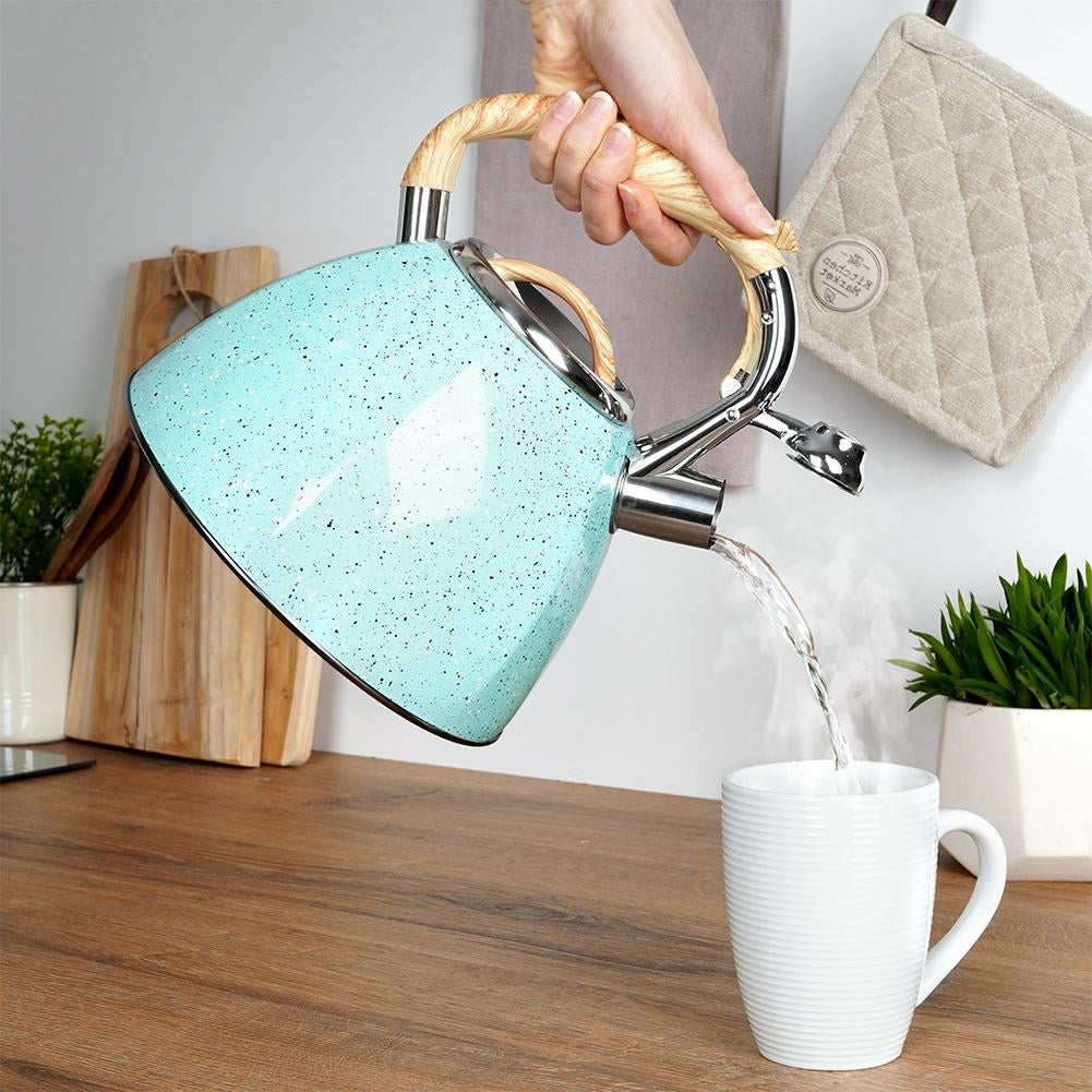 Modern Kettle with Automatic Whistle