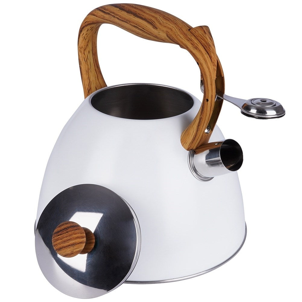 Modern Kettle with Automatic Whistle