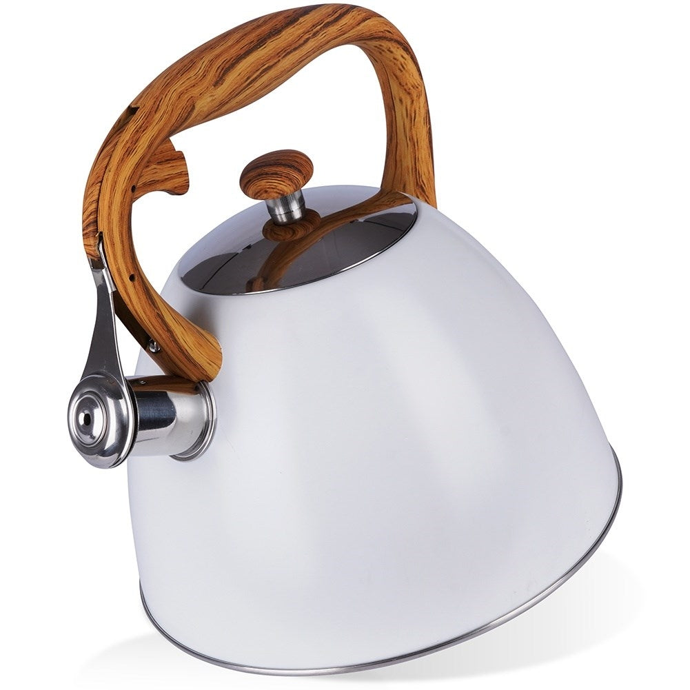 Modern Kettle with Automatic Whistle