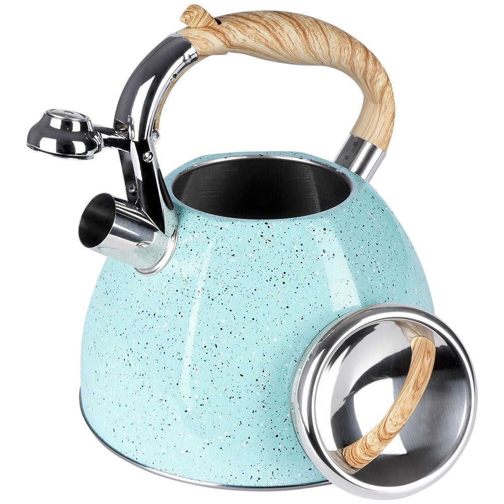 Modern Kettle with Automatic Whistle