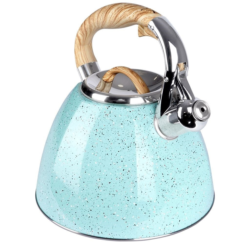 Modern Kettle with Automatic Whistle