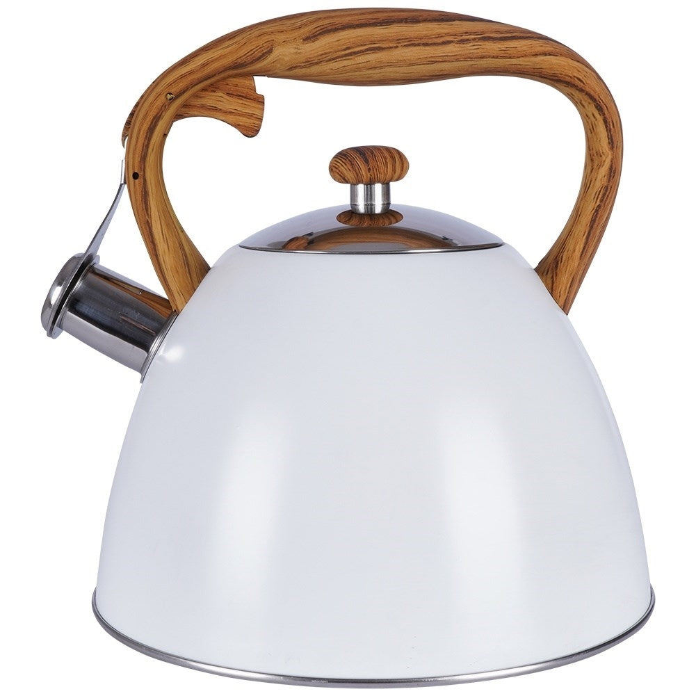 Modern Kettle with Automatic Whistle