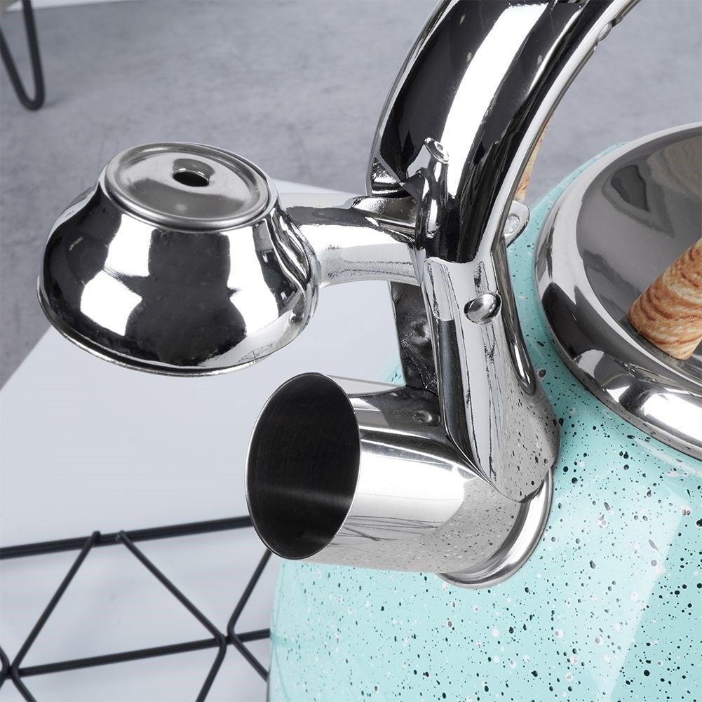 Modern Kettle with Automatic Whistle