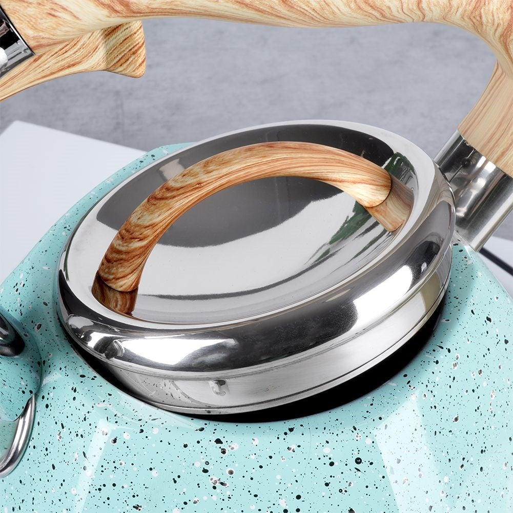 Modern Kettle with Automatic Whistle