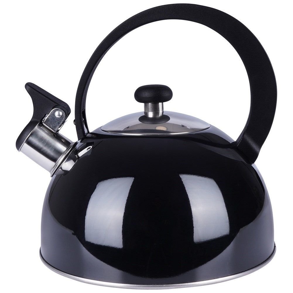 Modern kettle with tiltable whistle in stainless steel