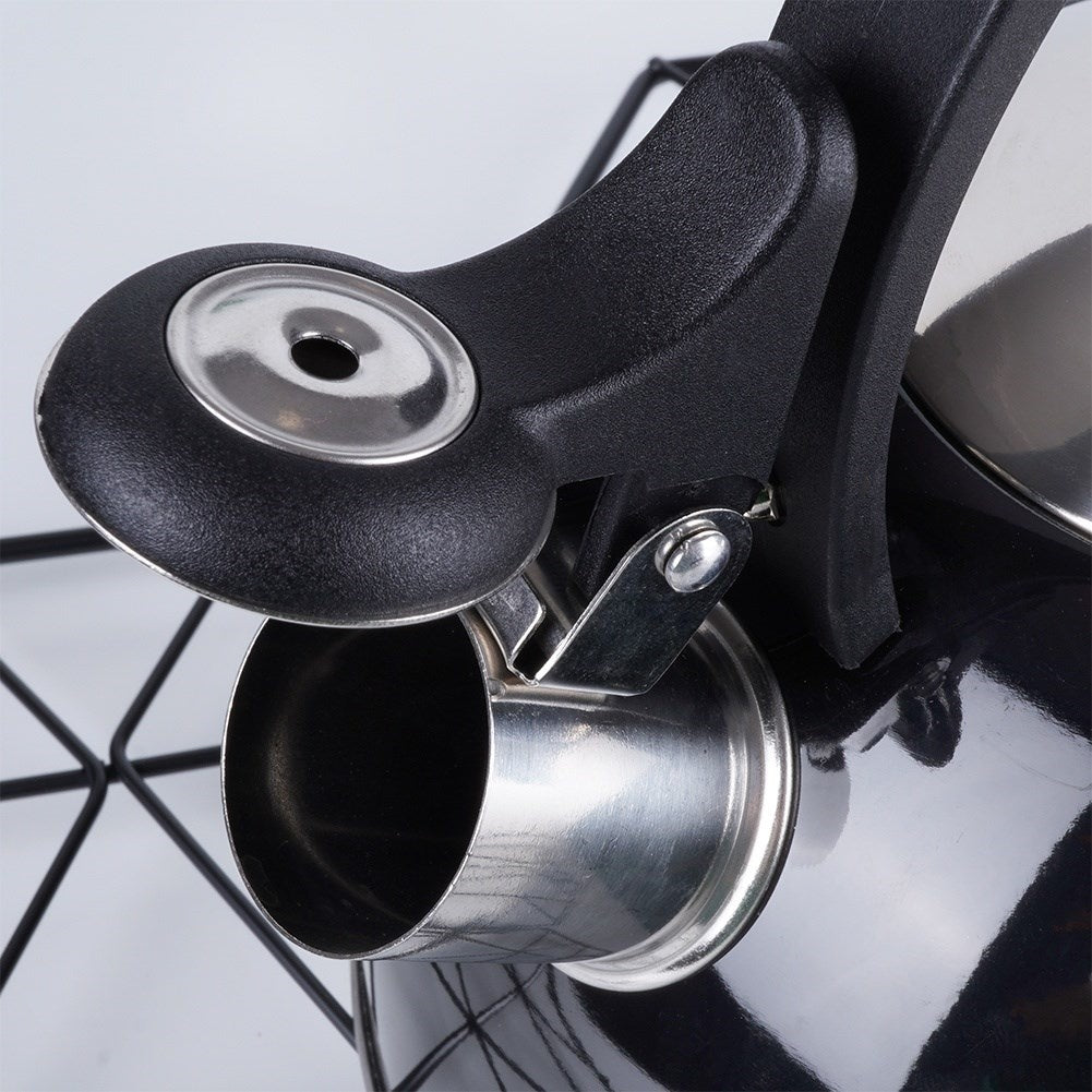 Modern kettle with tiltable whistle in stainless steel