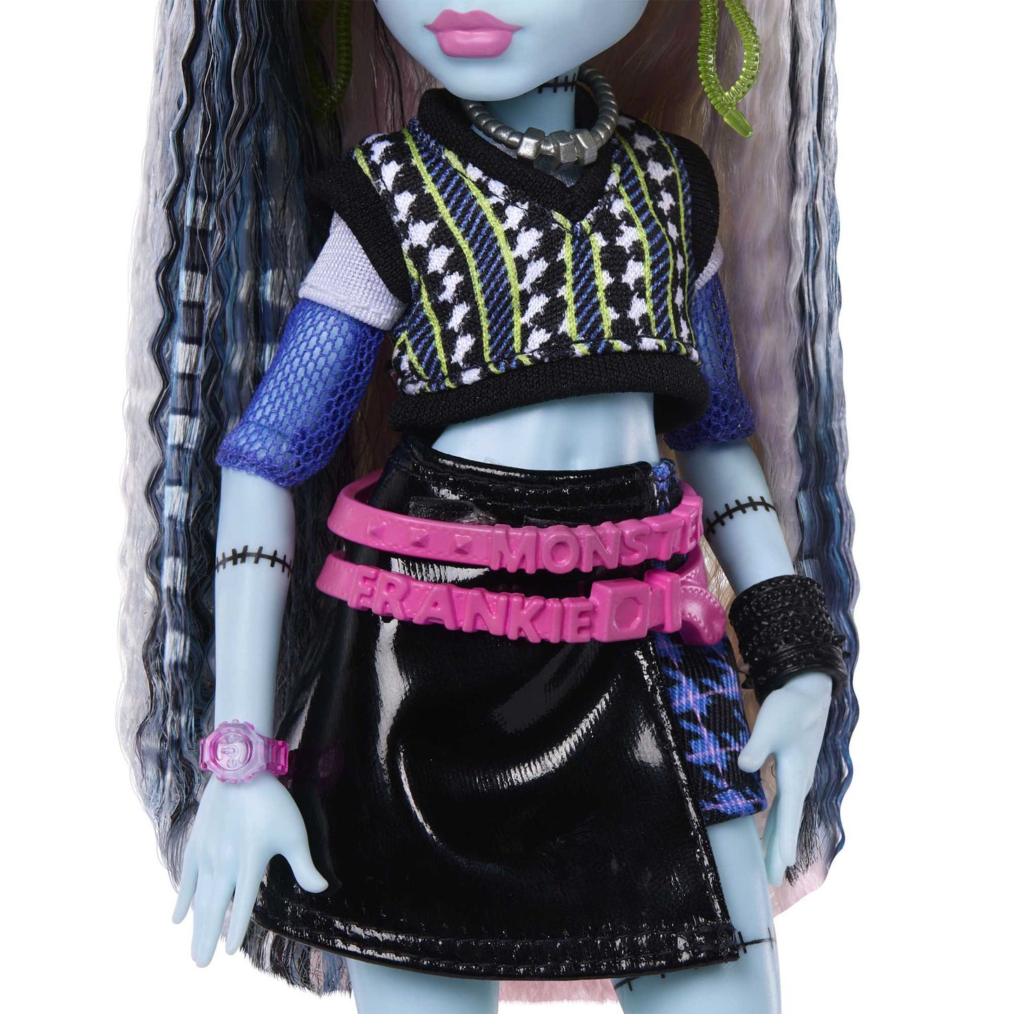 Monster High Doll Frankie with Pet & 7 Accessories