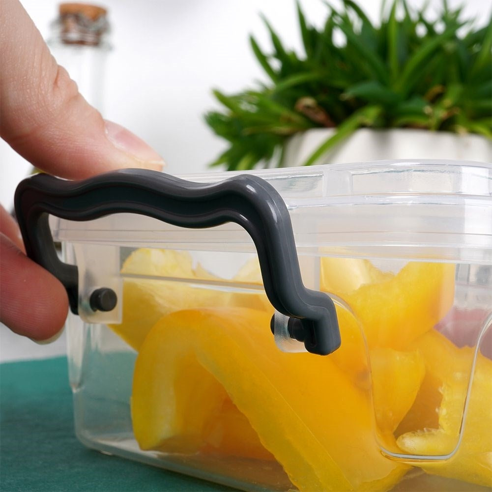 Multifunctional food container for dishwasher, fridge, freezer & microwave