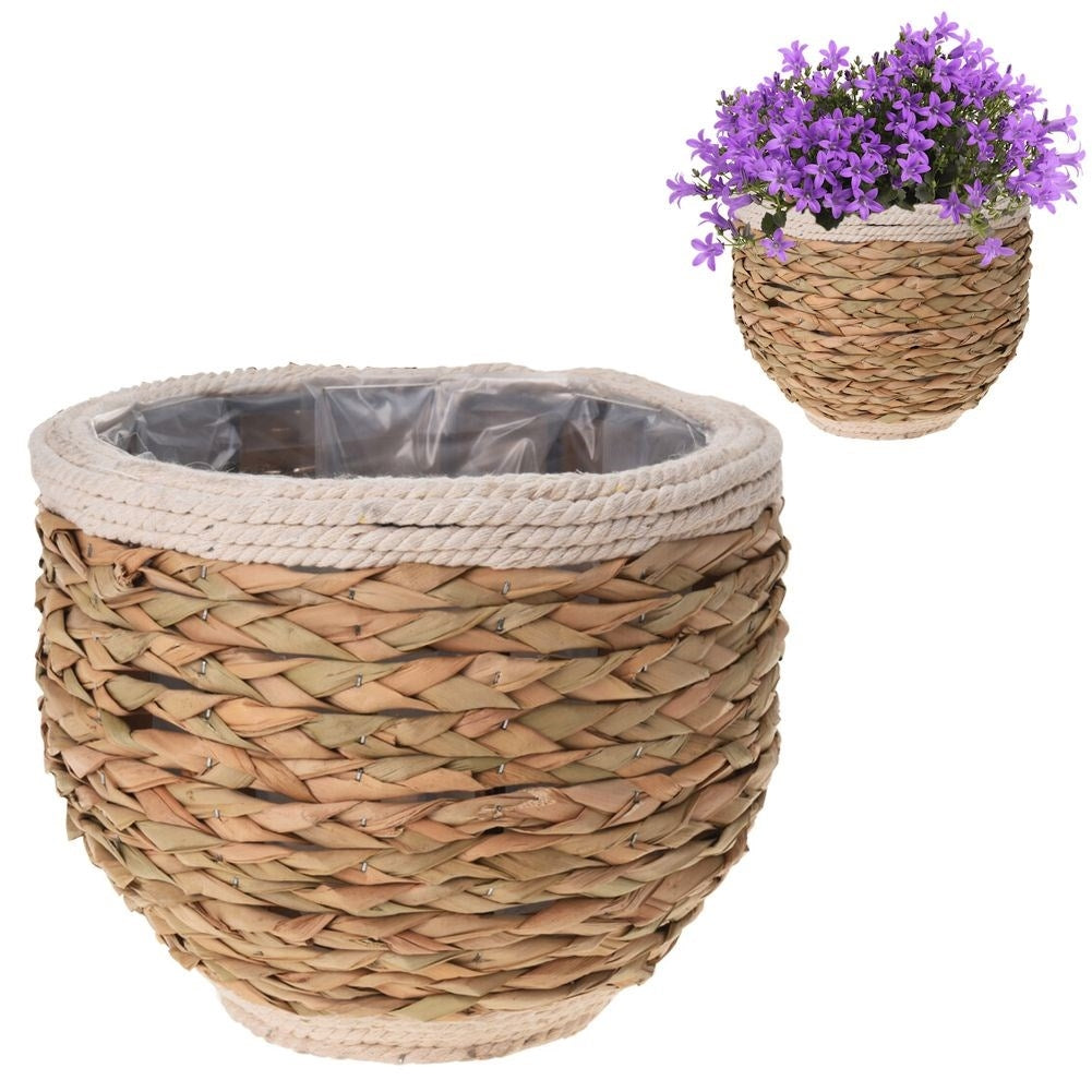 Natural plant pot made of seaweed, jute cord and wood for all styles