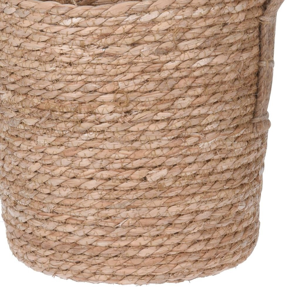Natural seagrass basket with handle for potting/storage