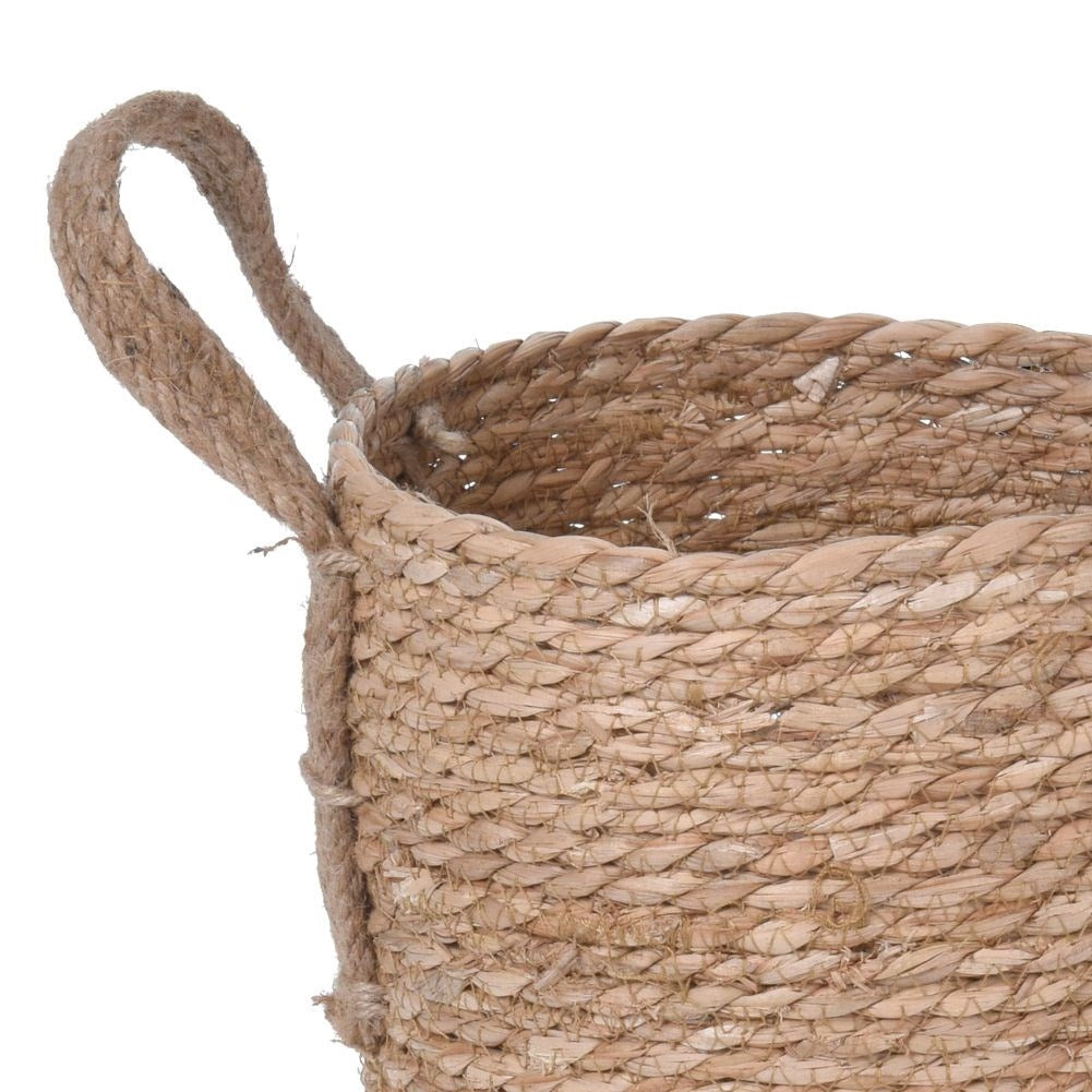 Natural seagrass basket with handle for potting/storage