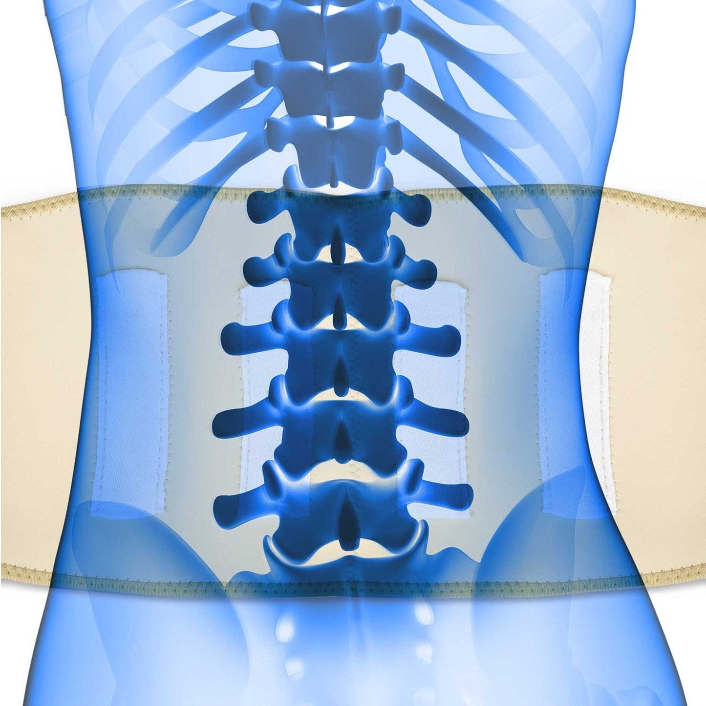 Neo-Sport 77201 magnetic spine belt