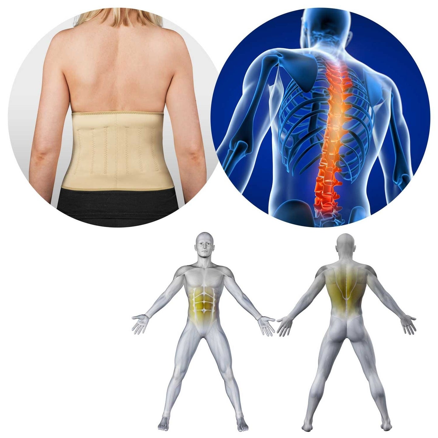 Neo-Sport 77201 magnetic spine belt