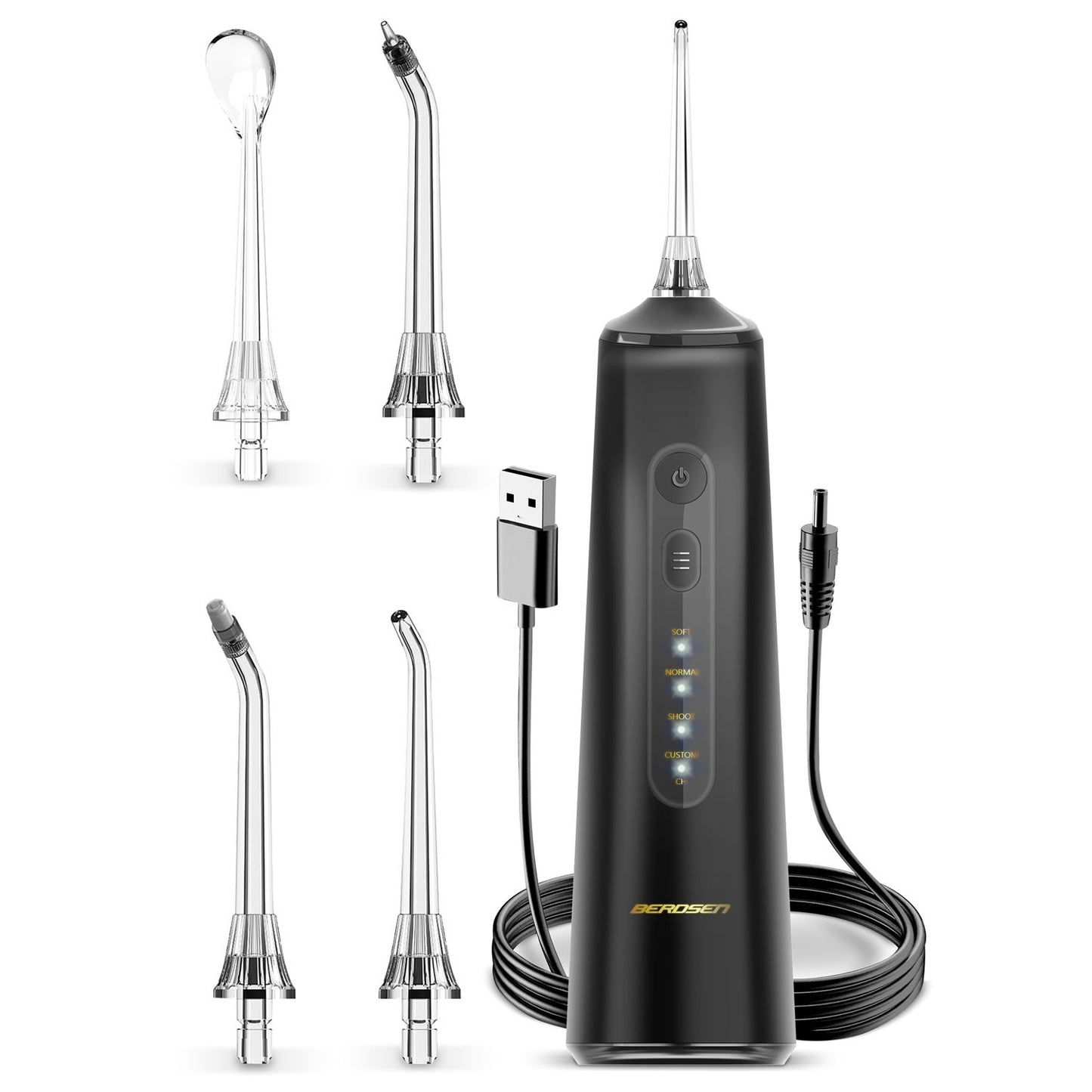 Berdsen ClearJet X6 Cordless Dental Irrigator