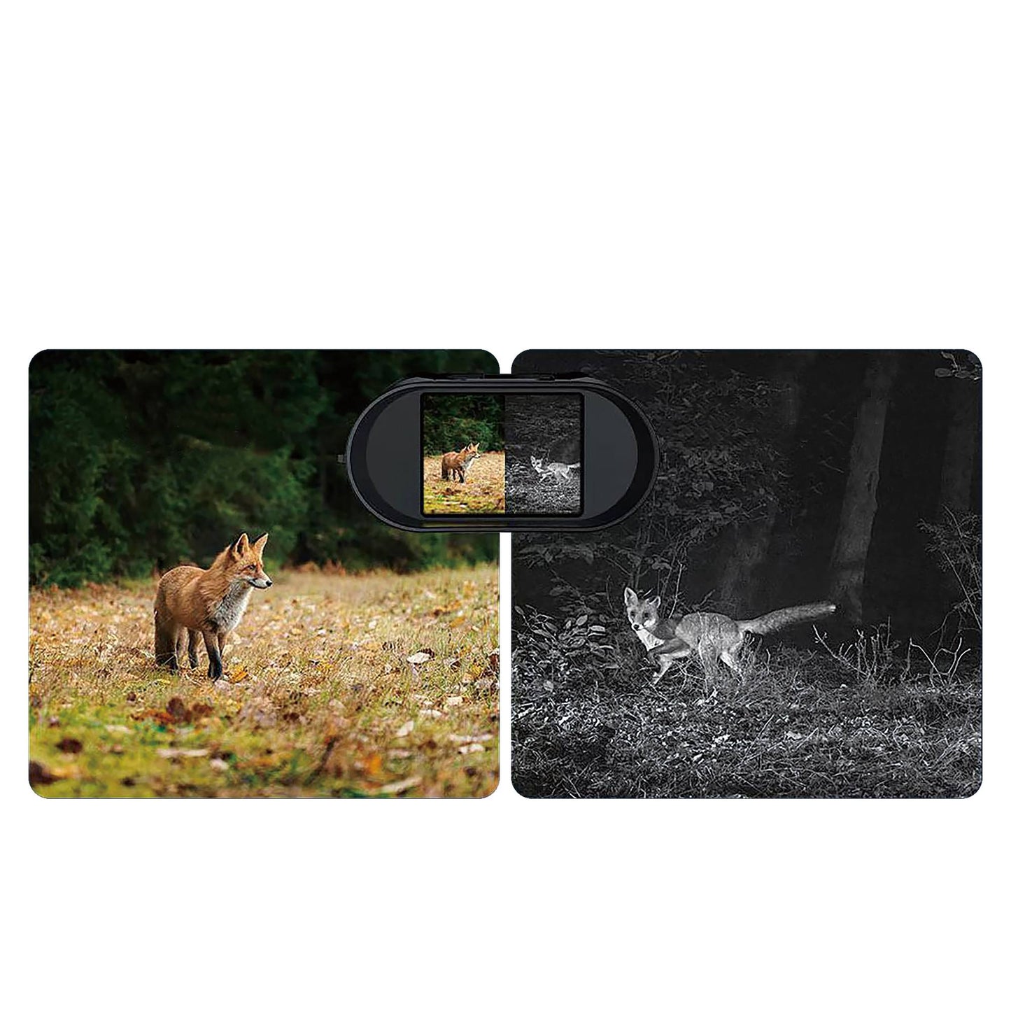 Night Vision Camera, 2K Video, 8x Zoom, Infrared, HD Display