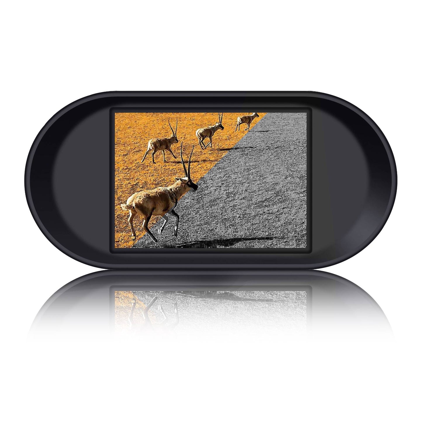 Night Vision Camera, 2K Video, 8x Zoom, Infrared, HD Display