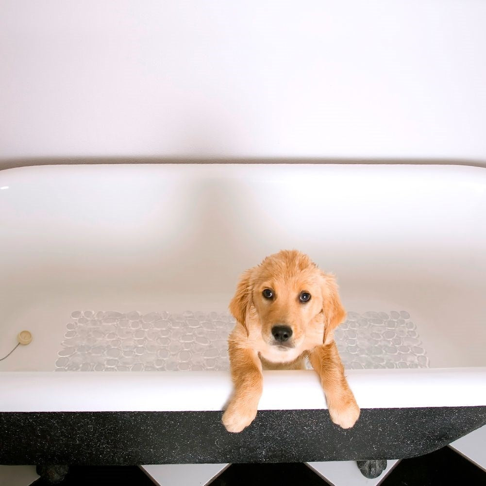 Non-slip shower mat: Safety on wet surfaces