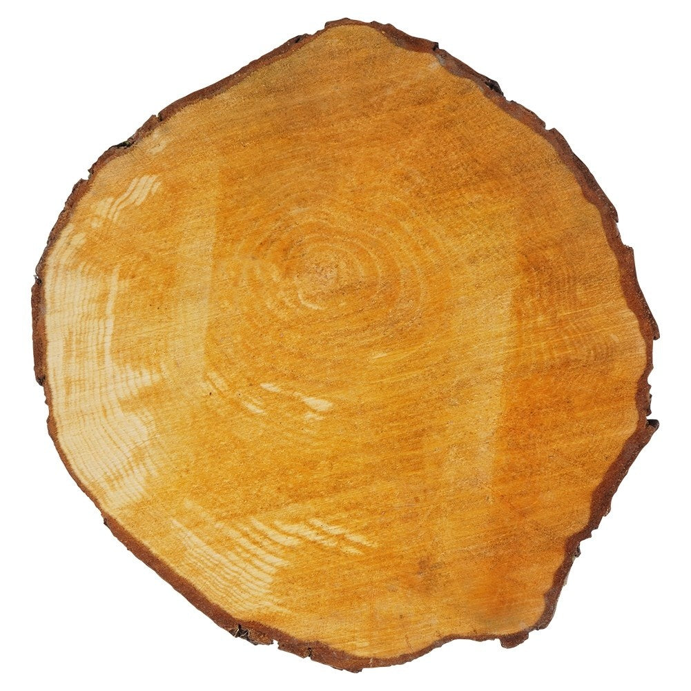 Oak Plate with Bark: Natural Decoration for Tableware