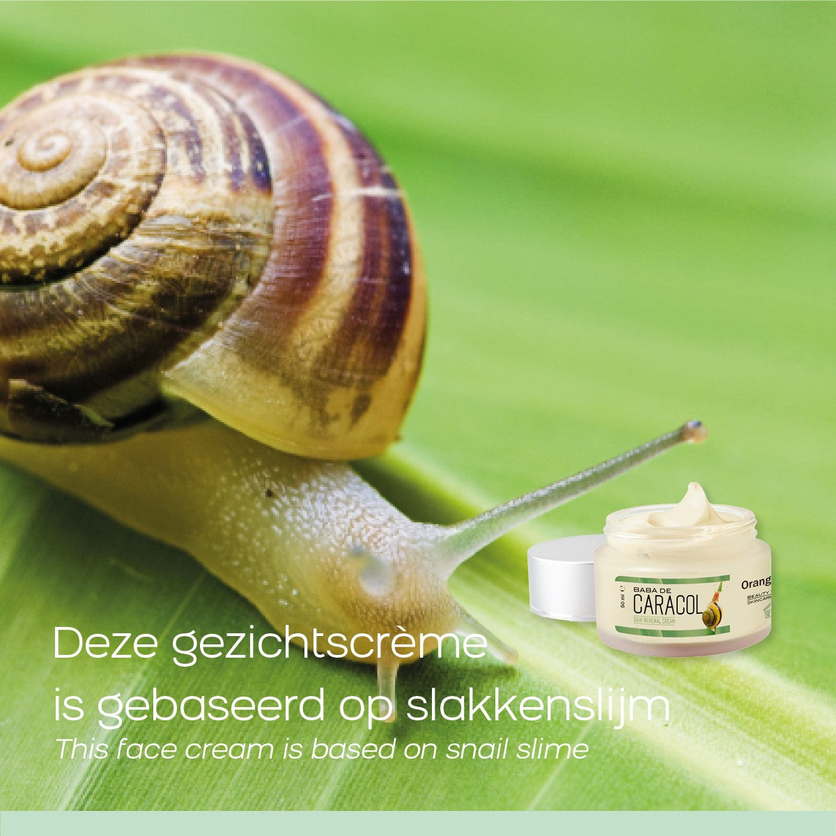 Orange Care - Baba de Caracol cream