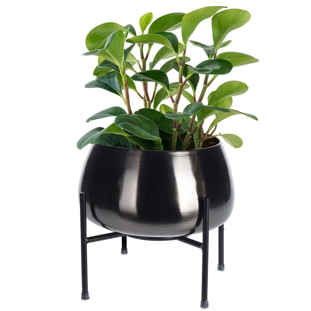 Original metal pot on stand. Stylish and elegant.