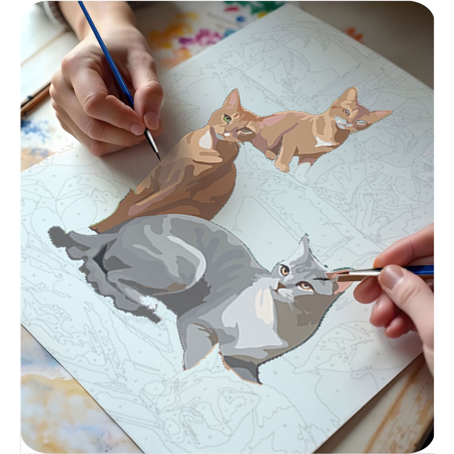 Painting by numbers 40x50 cm Massido Cats