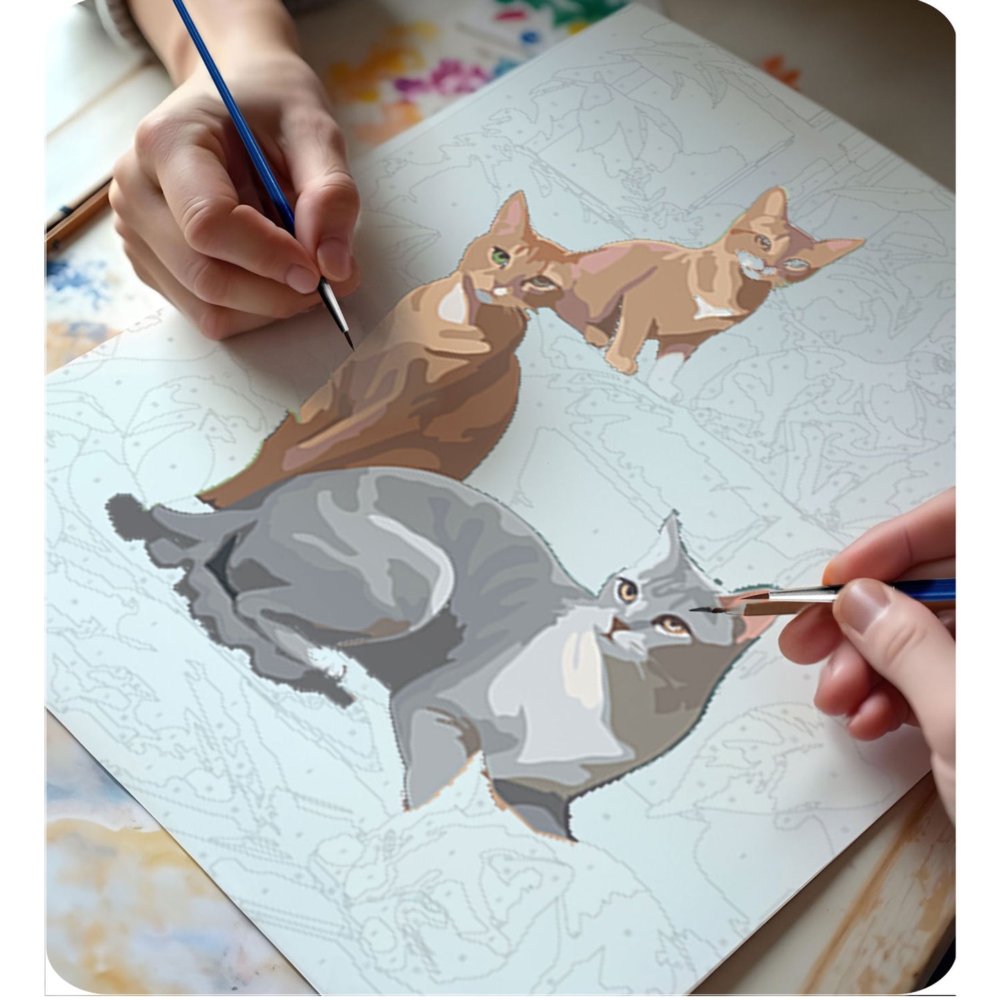 Painting by numbers 40x50 cm Massido Cats